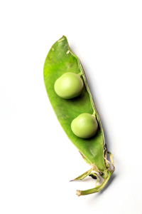Peas in a pod