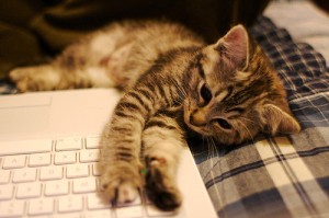 Post image for Where to Kickoff Your Keyword Research