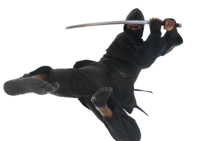 Flying Ninja